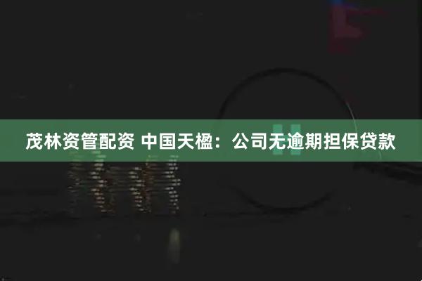 茂林资管配资 中国天楹：公司无逾期担保贷款